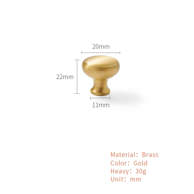 Gouden Shell Kastknop – Nordic Messing Meubelgreep voor Keuken & Kasten